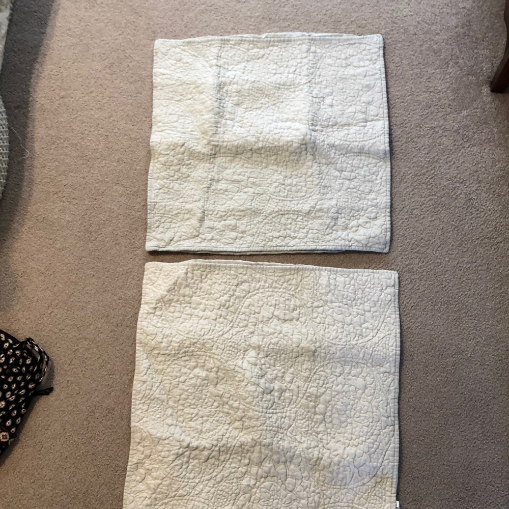 Pottery Barn Belgian Flax Linen Floral Euro Shams